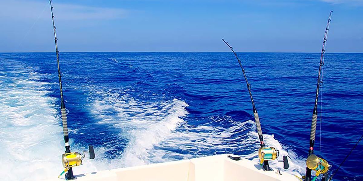 A charter boat explores the best fishing times gulf of Mexico.
