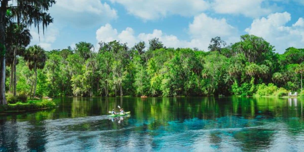 Two people kayaking on a clear, serene river surrounded by lush green trees, showcasing one of the best places to kayak in Florida.