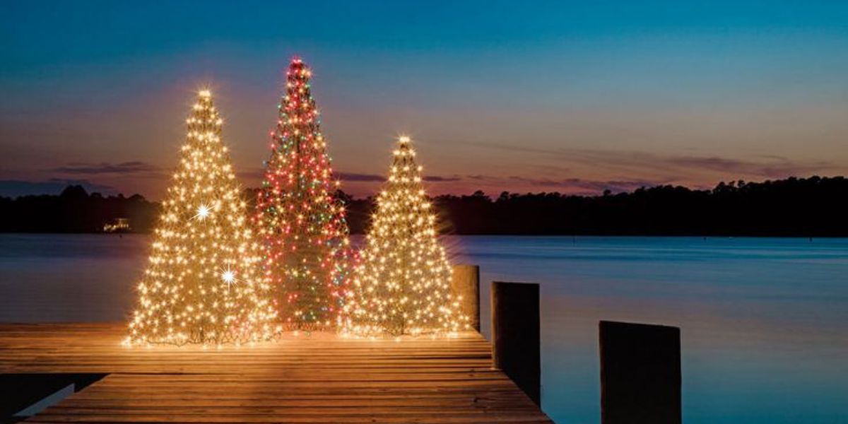 Beautifully lit Christmas trees on a dock at sunset, perfect for a festive holiday dock party.