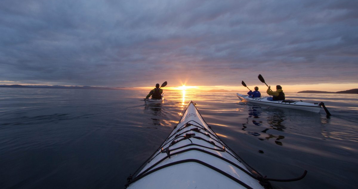 A group of people paddle into the sunset to explore bioluminescence kayaking.