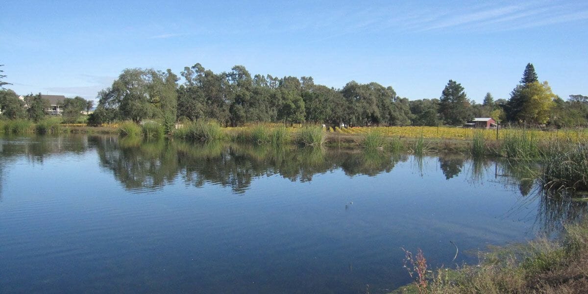 bodies of water for a floating gazebo