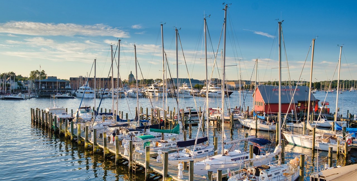 A commercial dock full of sailboats in Annapolis, maryland.