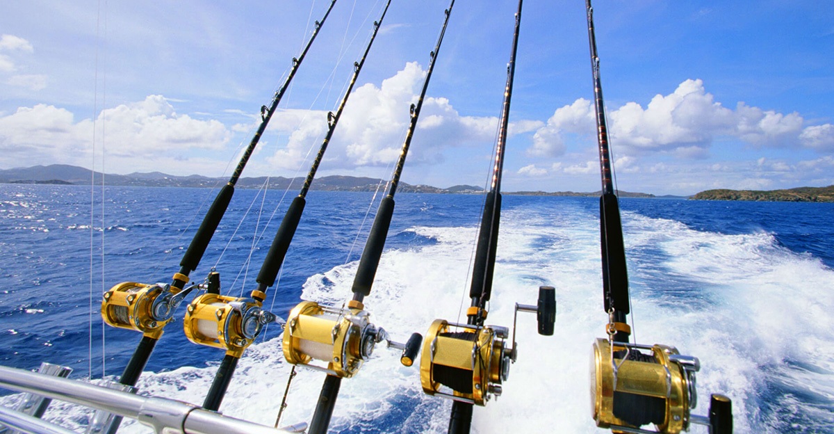 A fishing charter sets sail to catch fish according to the fish species seasonal catching calendar.