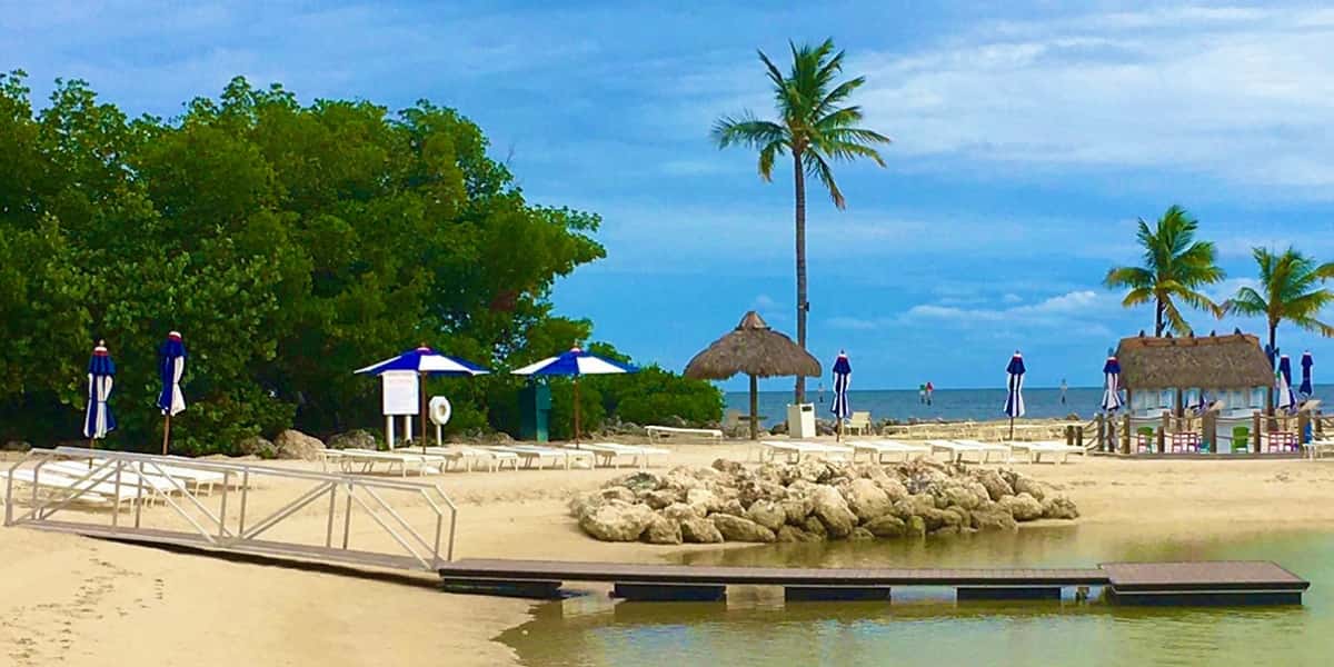 Tropical beach with palm trees, lounge chairs, umbrellas, and dock by the ocean, featured in winter waterfront getaways blog post.